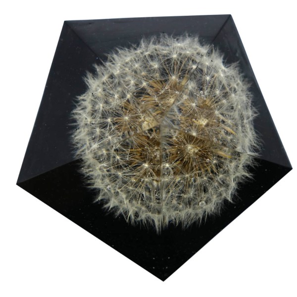 deko-pusteblume-loewenzahn-kugel-pw73-4.jpg